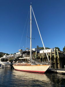 Magic, Seguin 44 by Lyman-Morse