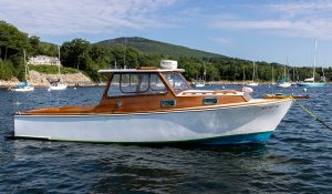 Monhegan 25 Badger profile