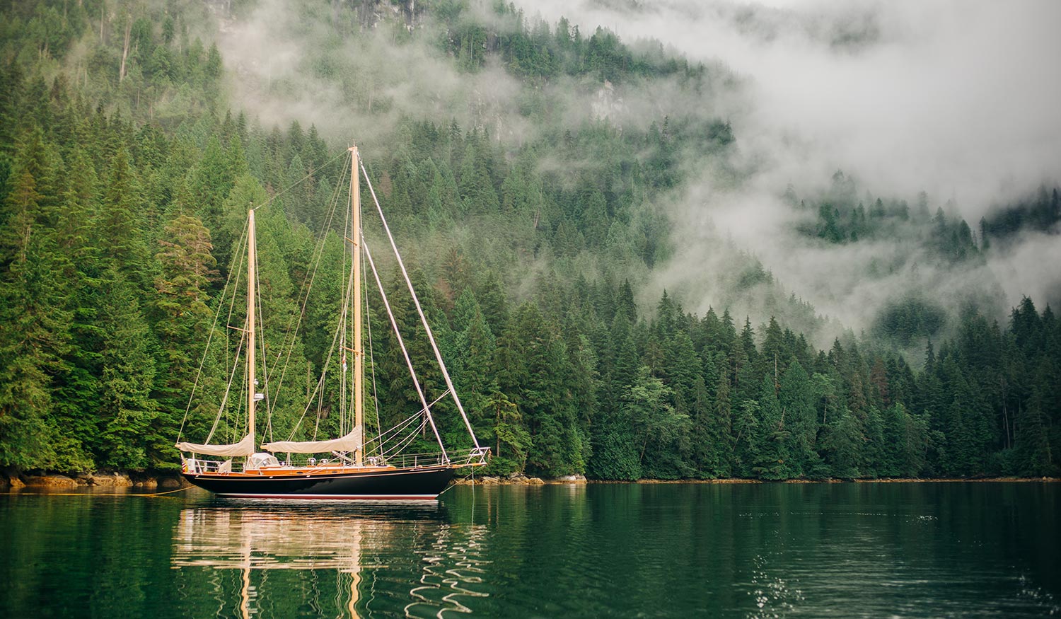 French & Webb-50' Wings